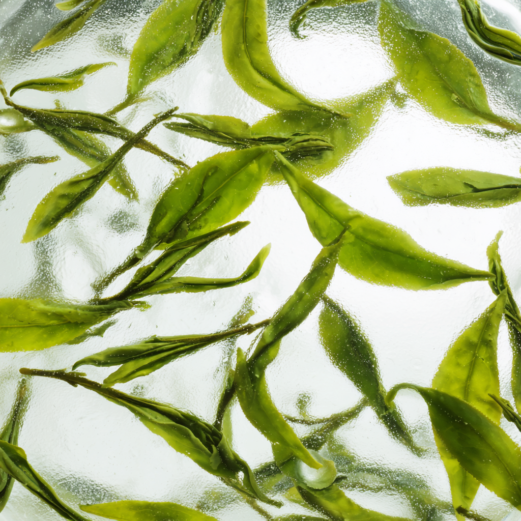 The Science Behind Green Tea — What's Actually Happening In Your Body